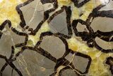 Gorgeous, Polished Septarian Stone - Madagascar #341873-1